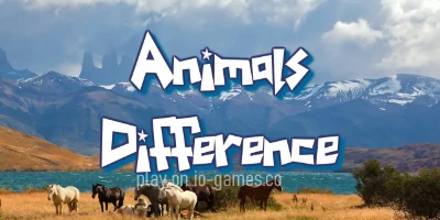  Animal Differences 