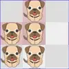 Daily Dog Pooh  gameplay small view
