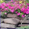 Flower Garden  gameplay small view