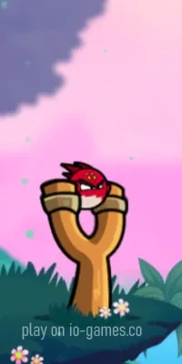  Angry Birdz 