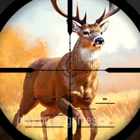 gameplay large view Wild Hunting Clash  gameplay small view